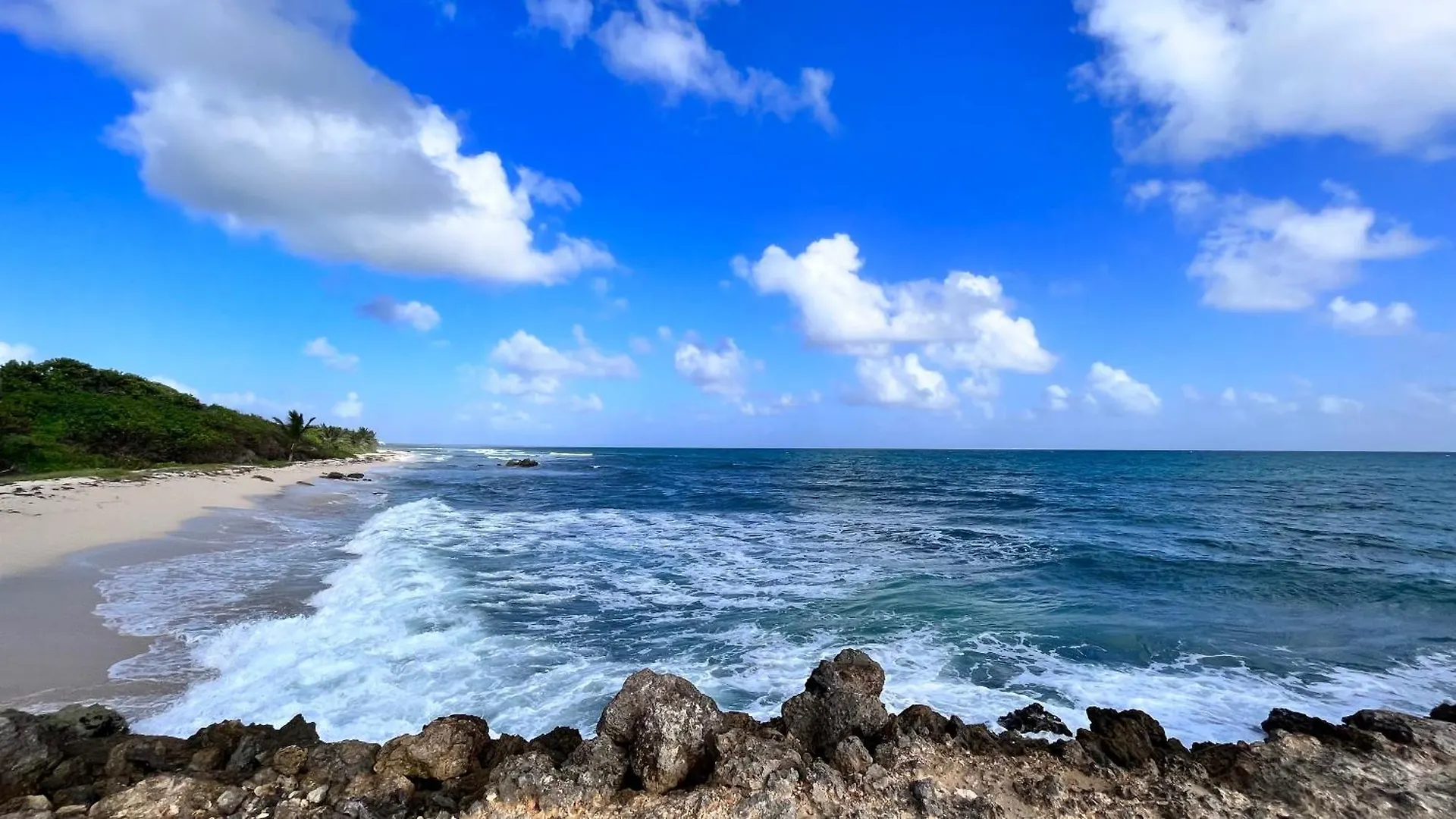 Caribluewave Studio Corail Saint-Francois  Apartment Saint-Francois (Grande-Terre)